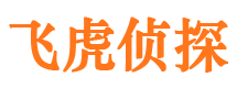 奉化市调查公司